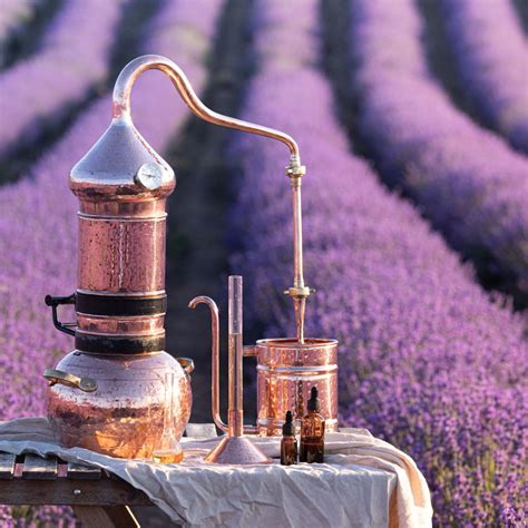 The Hidden Truth About Quality Essential Oils ~ Bulk Apothecary Blog