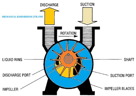 Liquid Ring Vacuum Pump Working Principle and Pumping system