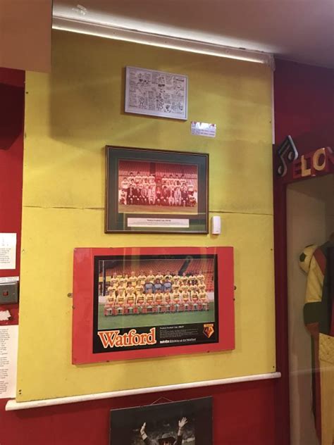 The Watford Museum football gallery | History | Watford Gold