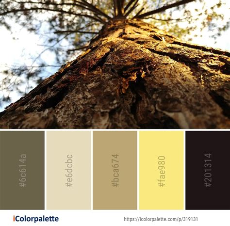 834 Wood Color Palette Ideas In 2024 Icolorpalette