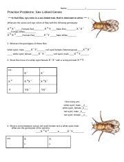 Sex Linked Traits Problems Docx Name I Practice Problems Sex Linked