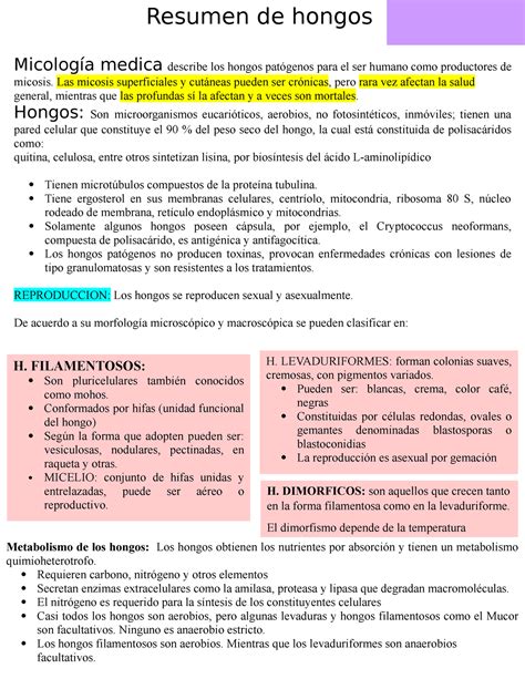 Resumen hongos Micología medica describe los hongos patógenos para el