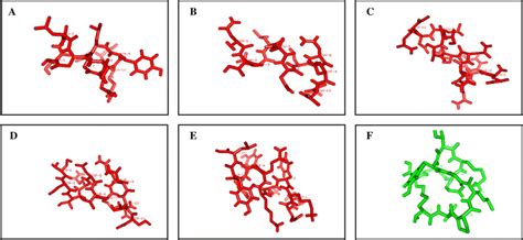 Predicted Structures Of Five Selected Peptides And Cyclotraxin B Using