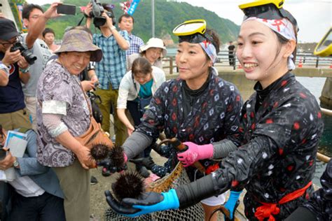 《海女》拍摄地久慈小袖海岸开海 海女潜水表演捞海胆【2】 日本频道 人民网