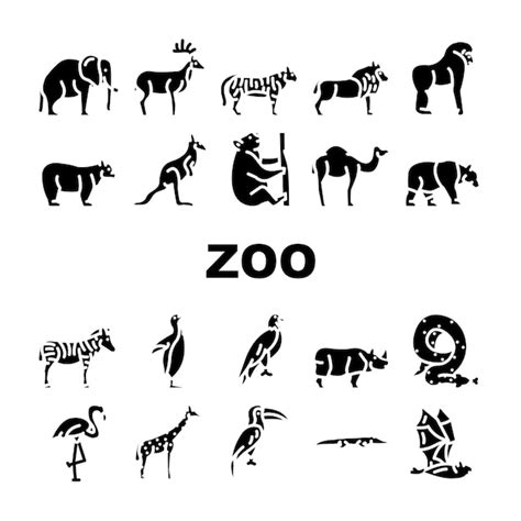 Conjunto de iconos de aves y serpientes de animales del zoológico tigre