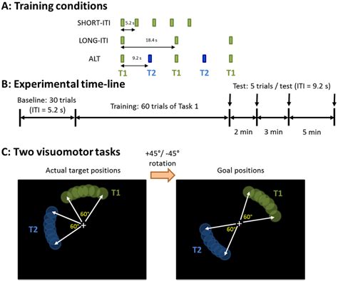 Experiment Design A Training Schedules Of The Three Visuomotor