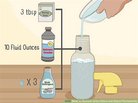 2 Simple Ways To Remove Urine Odors And Stains Permanently