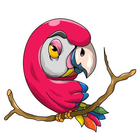 Cute Bored Parrot On A Branch Colorful Drawing Stock Vector Illustration Of Isolated Icon