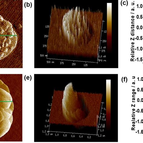 Typical Afm Image Of P A D Afm Image Of P B Section Profile Of