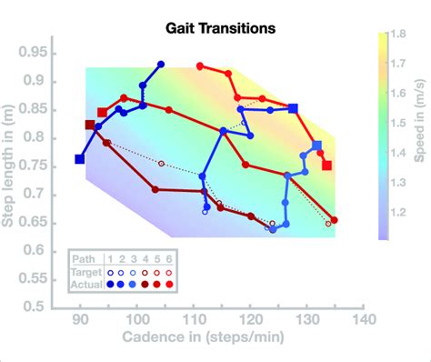 Gait Transitions Along Six Paths In The Cadence Step Length Domain The