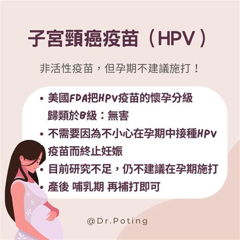 懷孕 孕期 打疫苗會不會影響寶寶？ 親子板 Dcard