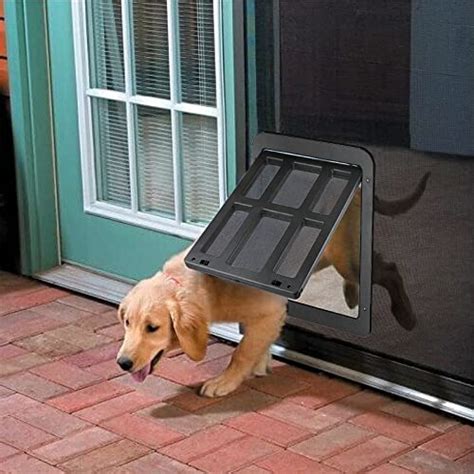 Best Screened Porch Dog Door