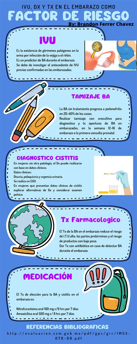 Afiche Ivu Resumen De Las Partes Principales De Una Sonda Ivu Dx Y