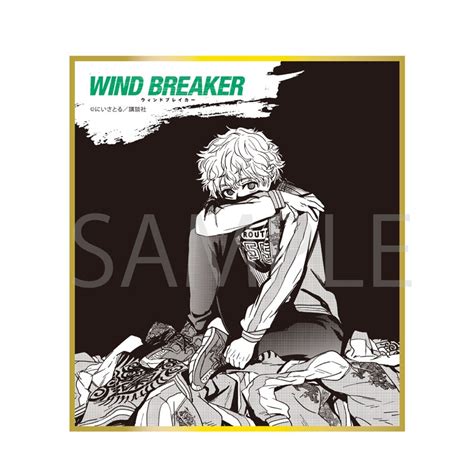 再販 トレーディング ミニ色紙10個入り1BOX WIND BREAKER WIND BREAKER HMV BOOKS