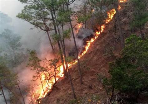 En Emergencia Se Mantiene Nueva Armenia Por Incendio Que Consume