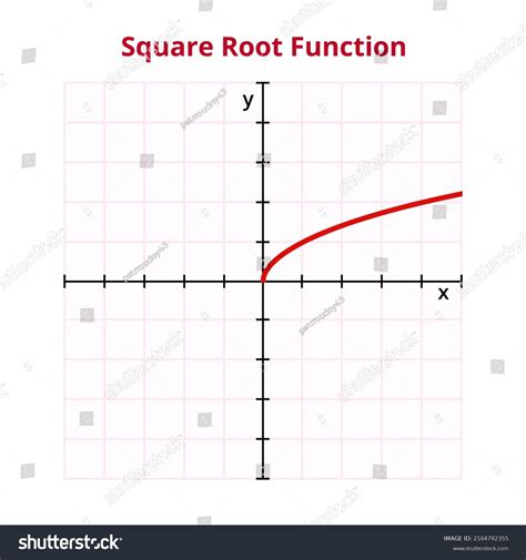 Vector Graph Chart Square Root Function Stock Vector (Royalty Free ...