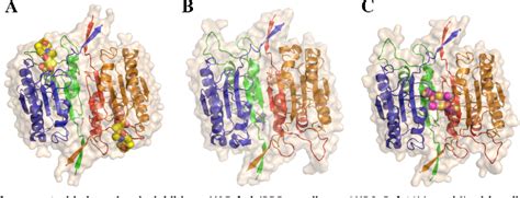 Figure 1 From Substrate And Inhibitor Induced Dimerization And