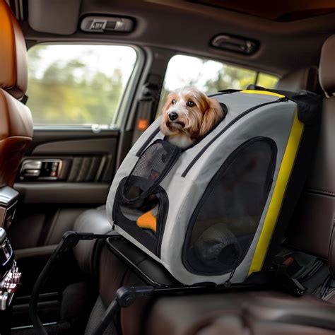 Unleash Adventure: The BingoPaw Collapsible Dog Travel Crate Review