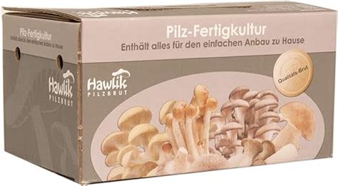 Hawlik Pilzbrut Parasol Pilzkultur I Kinderleicht Pilze Anbauen Ohne