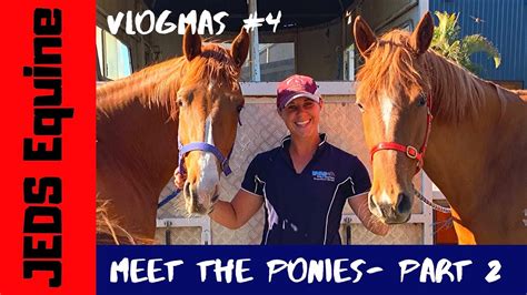 Vlogmas 4 Meet The Ponies Part 2 Lots Of Work To Do Jeds