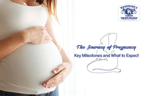 Pregnancy Journey Milestones And Transformations