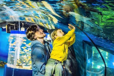 Pai E Filho Olham Para Os Peixes No Aqu Rio No Ocean Rio Foto Premium