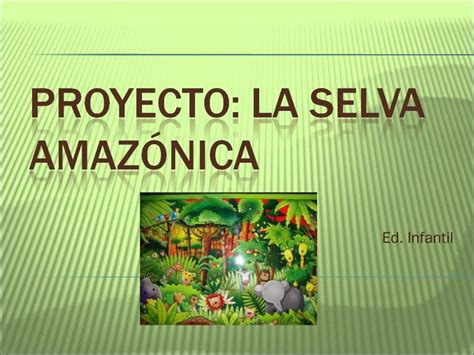 Proyecto Dedicado Para Alumnos De Infantil Sobre La Selva Amazónica