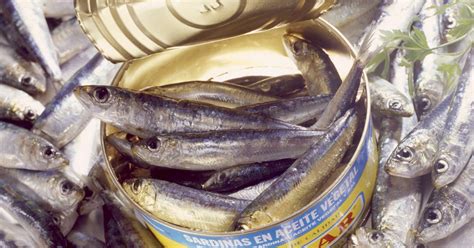 Profeco Qu Marcas De Sardinas No Son Buenas La Verdad Noticias