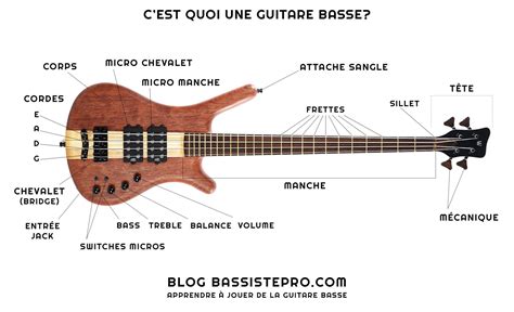 Guitare Basse Ou Basse Lectrique Bassistepro Cours De Basse