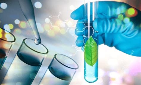 Biologia Molecular E Biotecnologia - ¿Qué es la Biología Molecular? – Centro de Biotecnología