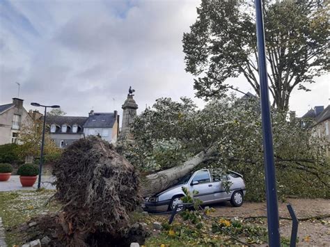 EN IMAGES Tempête Ciaran dans le Morbihan arbres arrachés rues