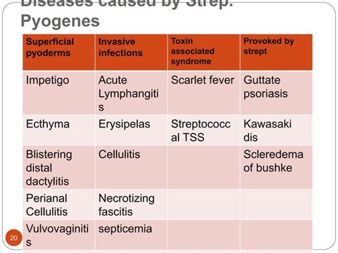 Staphylococcal And Streptococcal Skin Infections Ppt