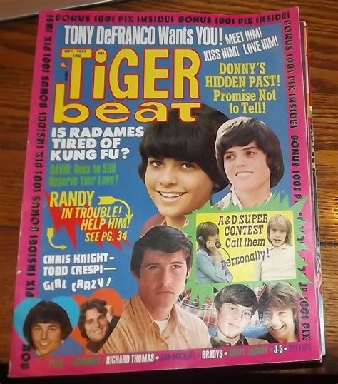 Vintage Tiger Beat Magazine Nov 1973 4616451066