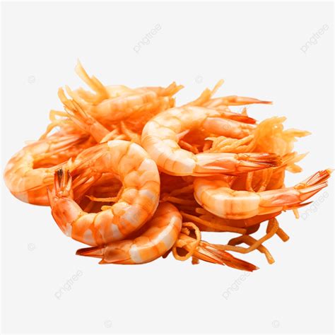 Dried Shrimp On White Background Dried Shrimp White Background