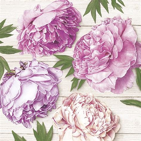 Decoupage Paper Of Romantic Peonies On The White Wood Napkins Peonies