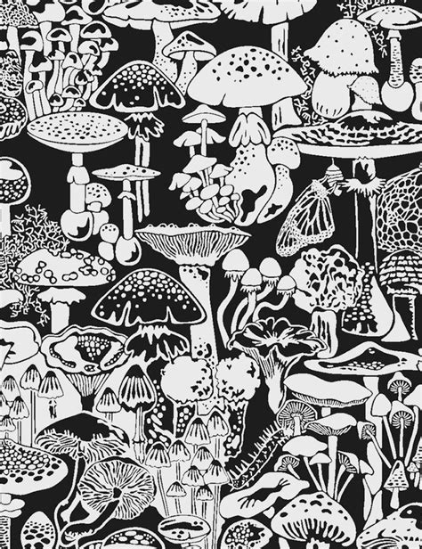 Mushroom City Wallpaper - Aimée Wilder