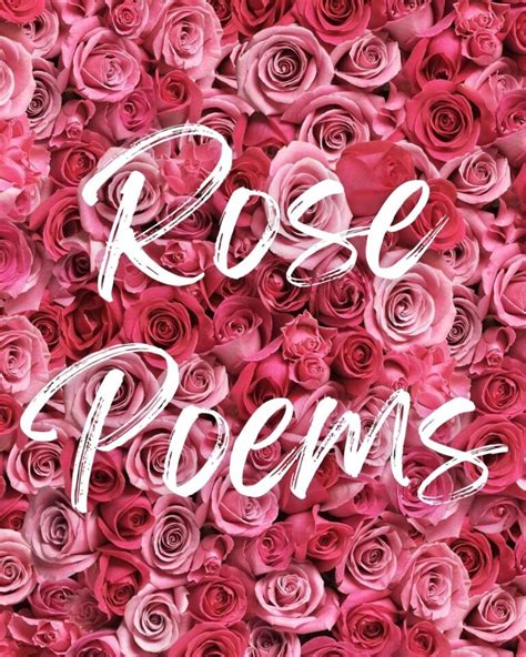 29 Rose Poems For The Romantic - Aestheticpoems