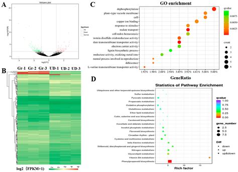 Researchers Are Debating The Genetic Linkage Mapping Data Accuracy - RYZE Superfoods