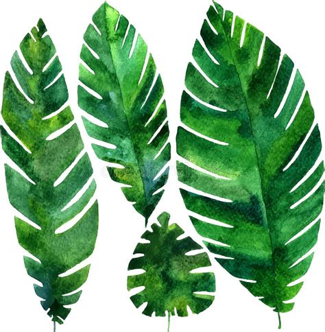 Folhas Do Verde Da Aquarela Do Vetor Ilustração do Vetor Ilustração