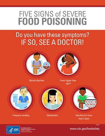 Food Poisoning Symptoms And Prevention Poster Text Artofit