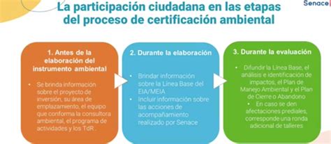 Figura Etapas De La Participaci N Ciudadana En El Proceso De