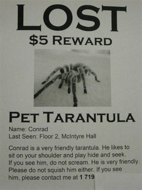 20 Funny Lost Pet Signs