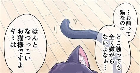 猫耳 独占欲が強すぎるヤンデレ飼い猫ちゃん2（カラー版） コユキのマンガ 漫画 ヤンデレ 化け猫 Pixiv