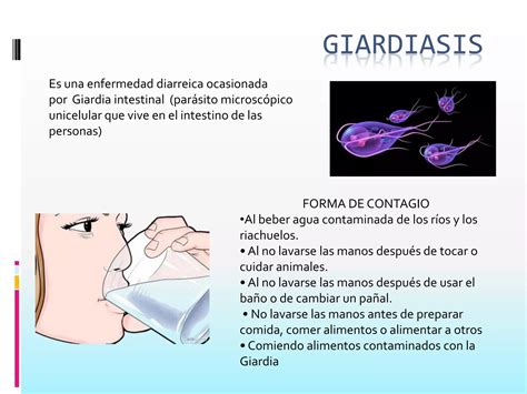 Enfermedades diarréicas agudas PPT Descarga Gratuita