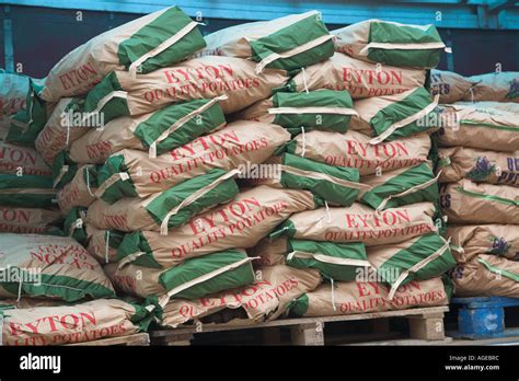 Bags Of Potatoes On A Pallet Stock Photo Alamy