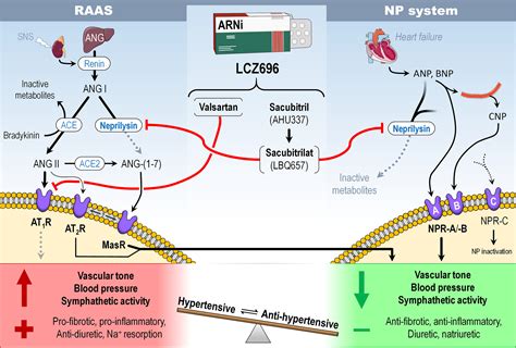 The Combination Of Valsartan And Sacubitril In The Treatment Of