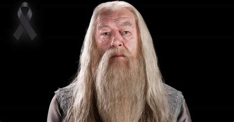 Alcen Sus Varitas Al Cielo Michael Gambon Dumbledore En Harry Potter