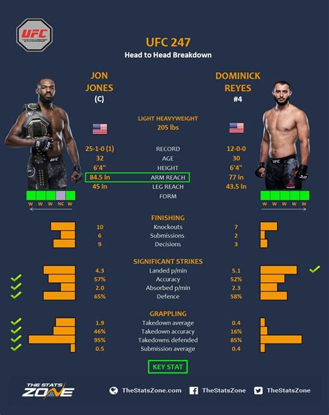 MMA Preview – Jon Jones vs Dominick Reyes at UFC 247 - The Stats Zone