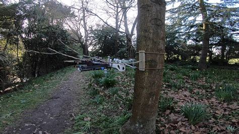 Drone Tree Pruning In Ilam Gardens Youtube