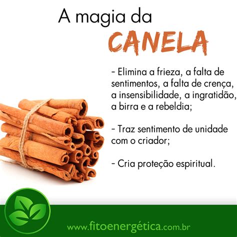 Timeline Photos Fitoenerg Tica E Magia As Ervas Ervas Magia